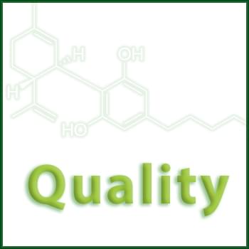 Synabis Quality