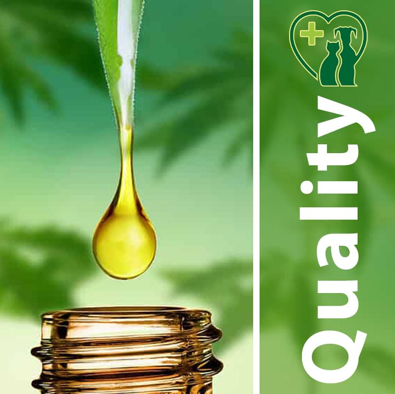 Synabis Pet Hemp Extract