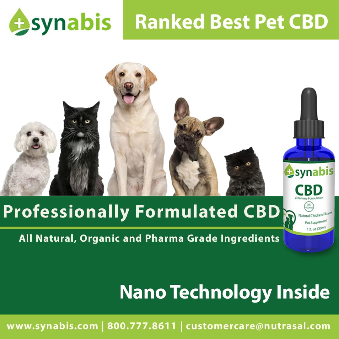 Synabis Top Ranked Pet Product