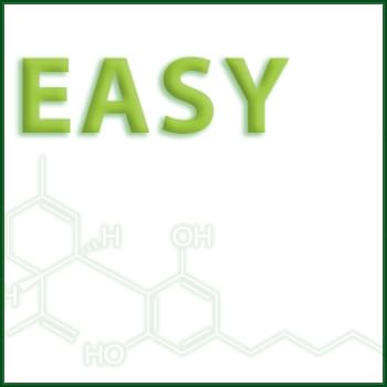 Synabis Easy Testimonial 
